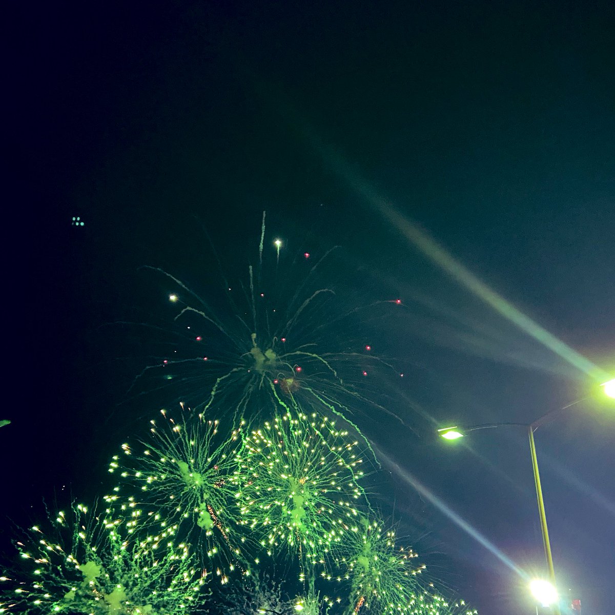 隣の芝はいつでも蒼いし美しい tweet media