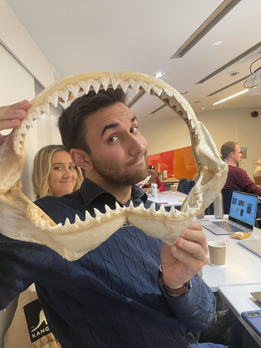 AliceLArmstrong's tweet photo. Had fun this afternoon looking at shark fossils 🦈 and chatting about wildlife  interactions @BirkbeckUoL @London_NERC_DTP #PhD #Sharks https://t.co/RbLv7HULvL