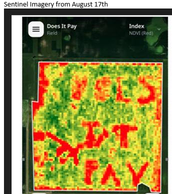 deutmeyer_troy's tweet image. Coolest fungicide trial ever Travis McCormick @ Ag Solutions, Coulter IA used JD Exact Apply 2 spell  w/fungicide &quot;Does it Pay&quot;.  Imagery shows unsprayed areas almost perfectly Very little disease in this field, so all about plant health in this case.  Check out the yield diffs!!