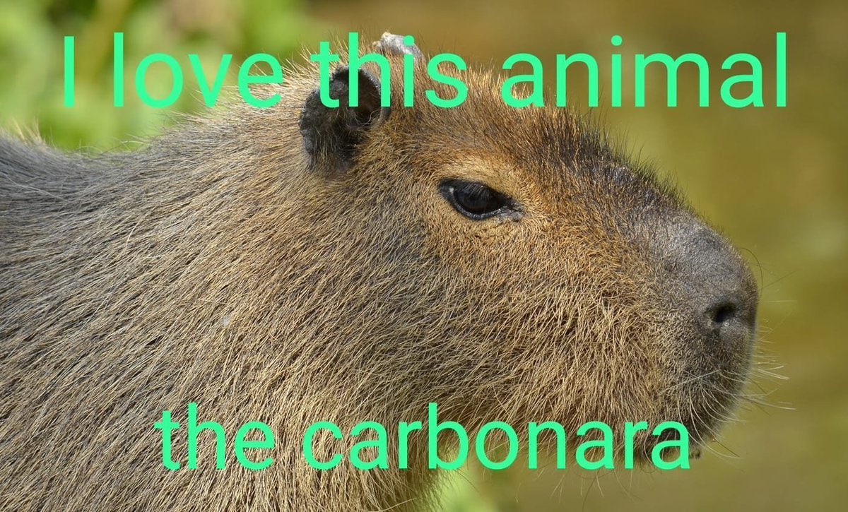 no me llamo vicenta (@kansaita_) on Twitter photo 