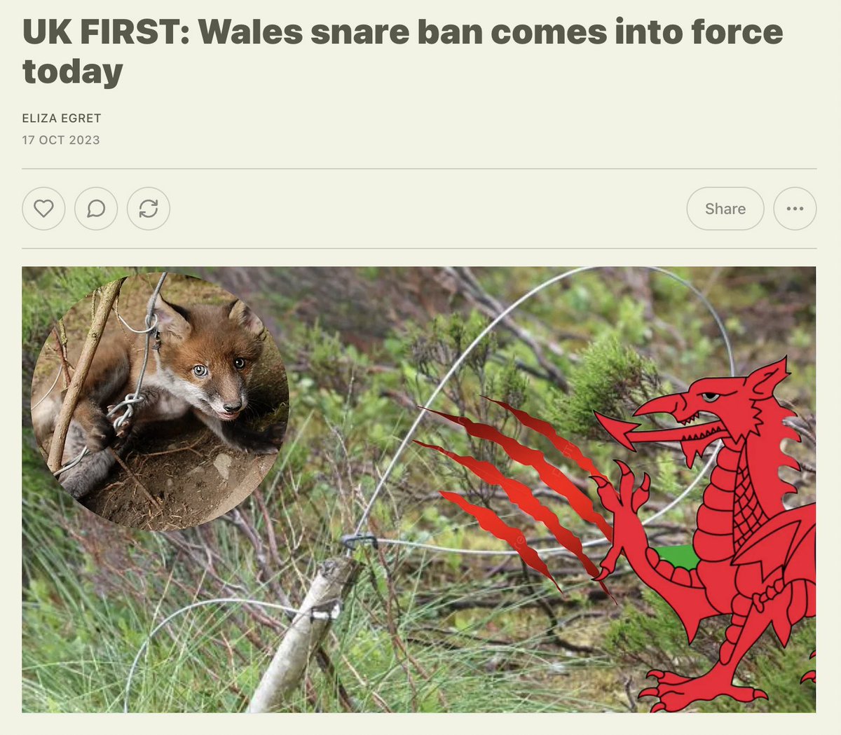 Protect the Wild tweet media