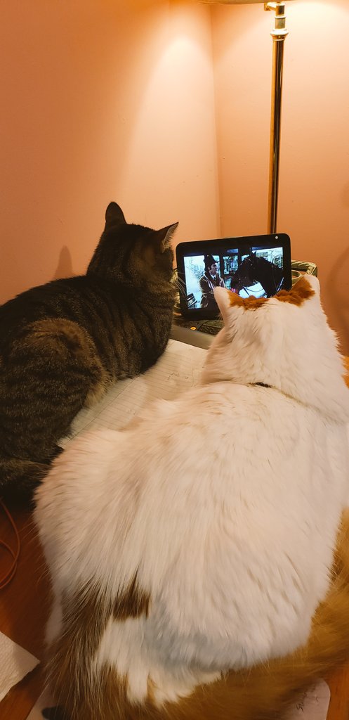 nrreTH's tweet photo. The boys watching #Seinfeld while I work https://t.co/o5as5EZ9dT