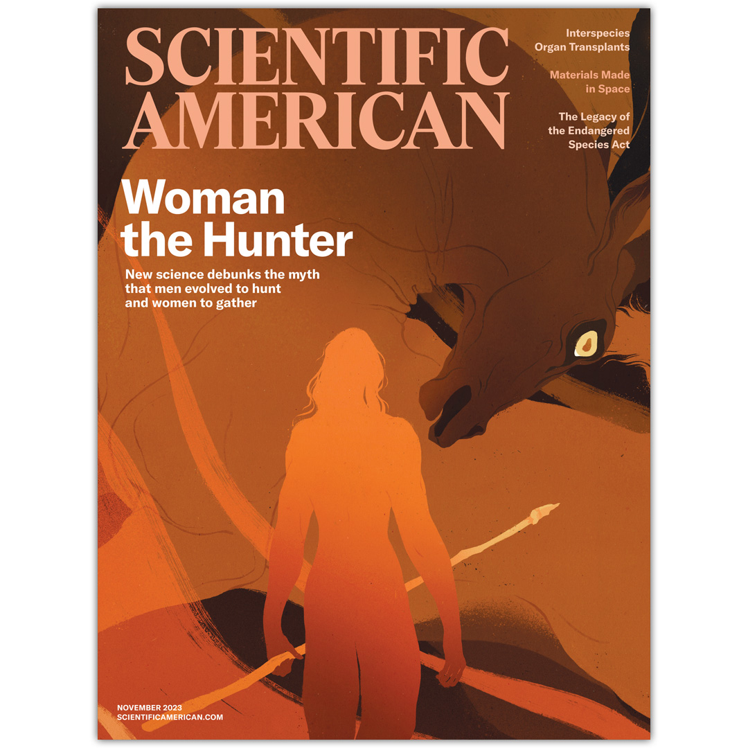 The notion that men evolved to hunt and women to tend to children and domestic duties is one of anthropology’s most influential ideas. But the available data do not support it. Evidence from studies of physiology, archaeology and fossils point to women having a long history of…