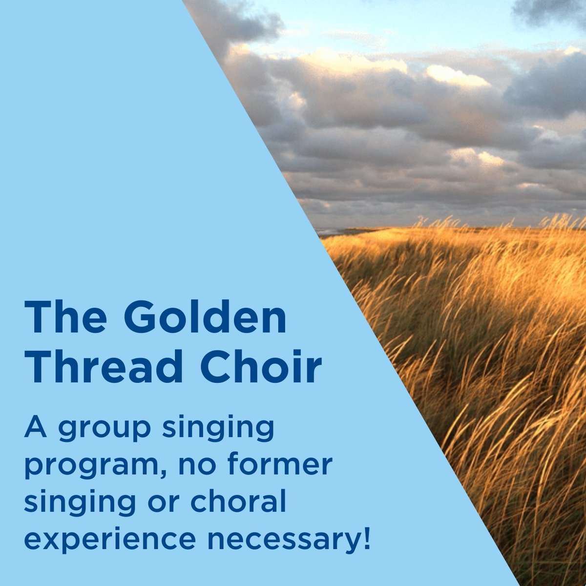 Join us for an in-person group singing series and explore the joy of making music. No choral experience necessary! Tuesdays, Oct 24-Nov 28 (6-week series) from 1:30-3:00pm At St-Andrew’s United Church, 117 Bloor St E, Toronto alz.to/event/the-gold… #ActiveLivingProgram #AST