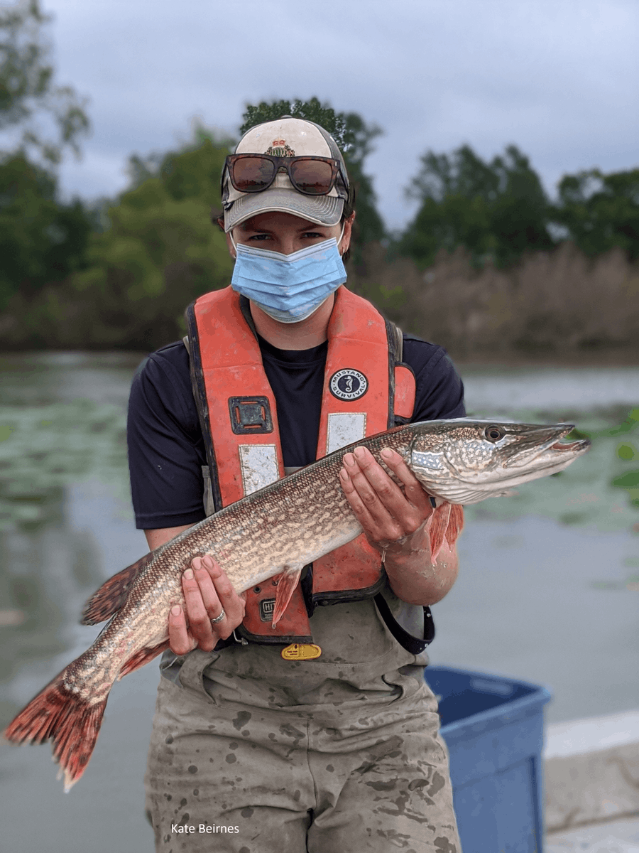 Fisheries and Oceans tweet media