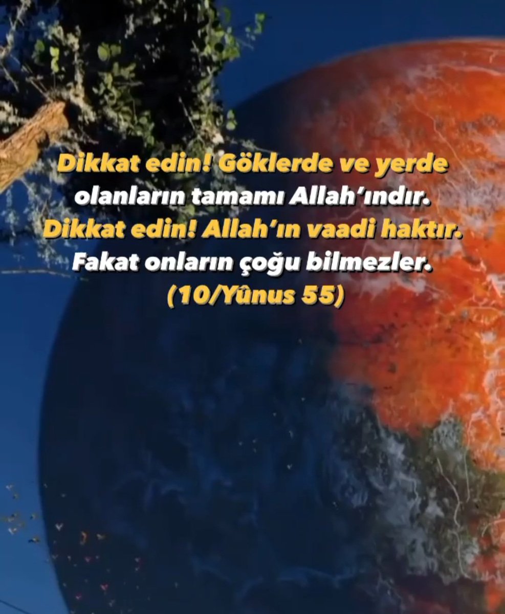 Ş. Hürkuş (@evbaab) on Twitter photo 