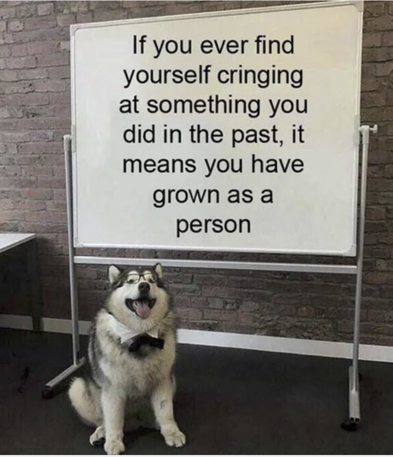 Respectful Memes (@respectfulmemes) on Twitter photo 