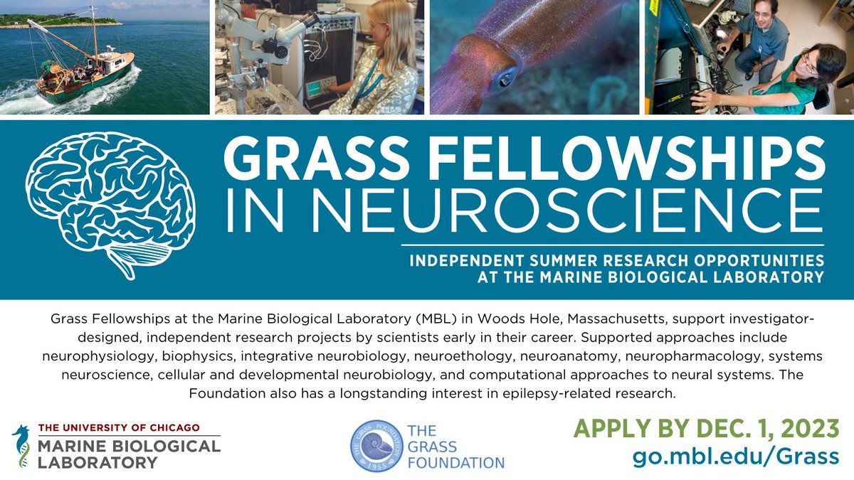 Grass Fellowships at the MBL support investigator-designed, independent research projects by early-career scientists. Summer 2024 applications due December 1. go.mbl.edu/Grass