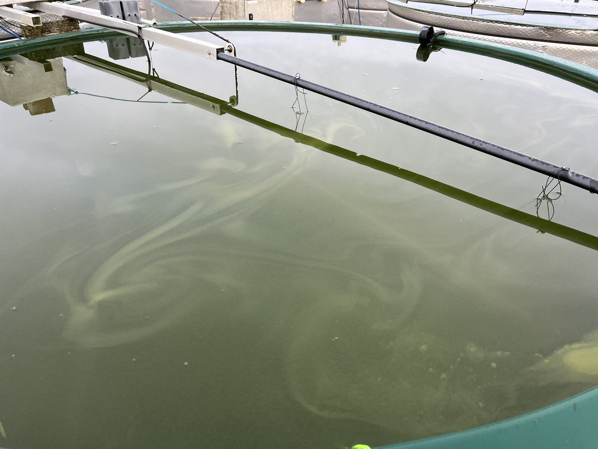 Deepak Kumaresan tweet media