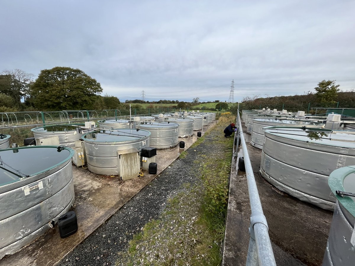 Deepak Kumaresan tweet media