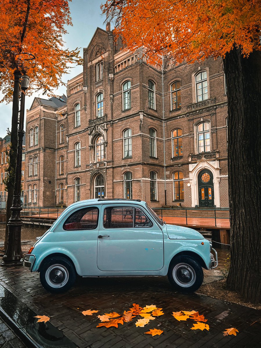 Autumn Moments in Amsterdam 😍🍂✨

#autumn #amsterdam #amsterdamcity #amsterdamphotography #autumnleaves