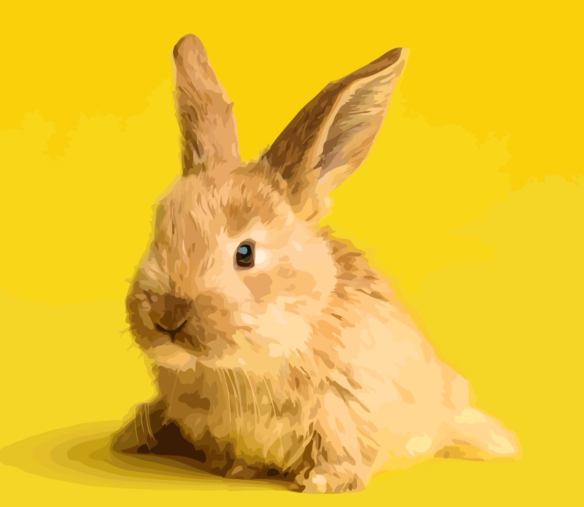 A sweet bunny i painted. #AllAnimalsMatter 💛💛💛
