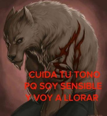 frigosouul's tweet photo. https://t.co/66JqazroGa
