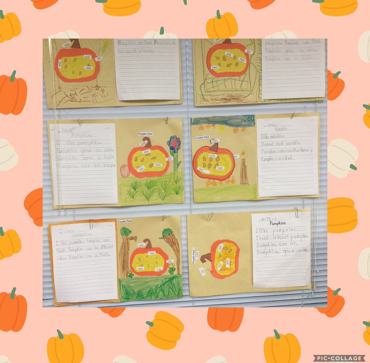 We started October by reading and writing about pumpkins! @VineyardsVipers
