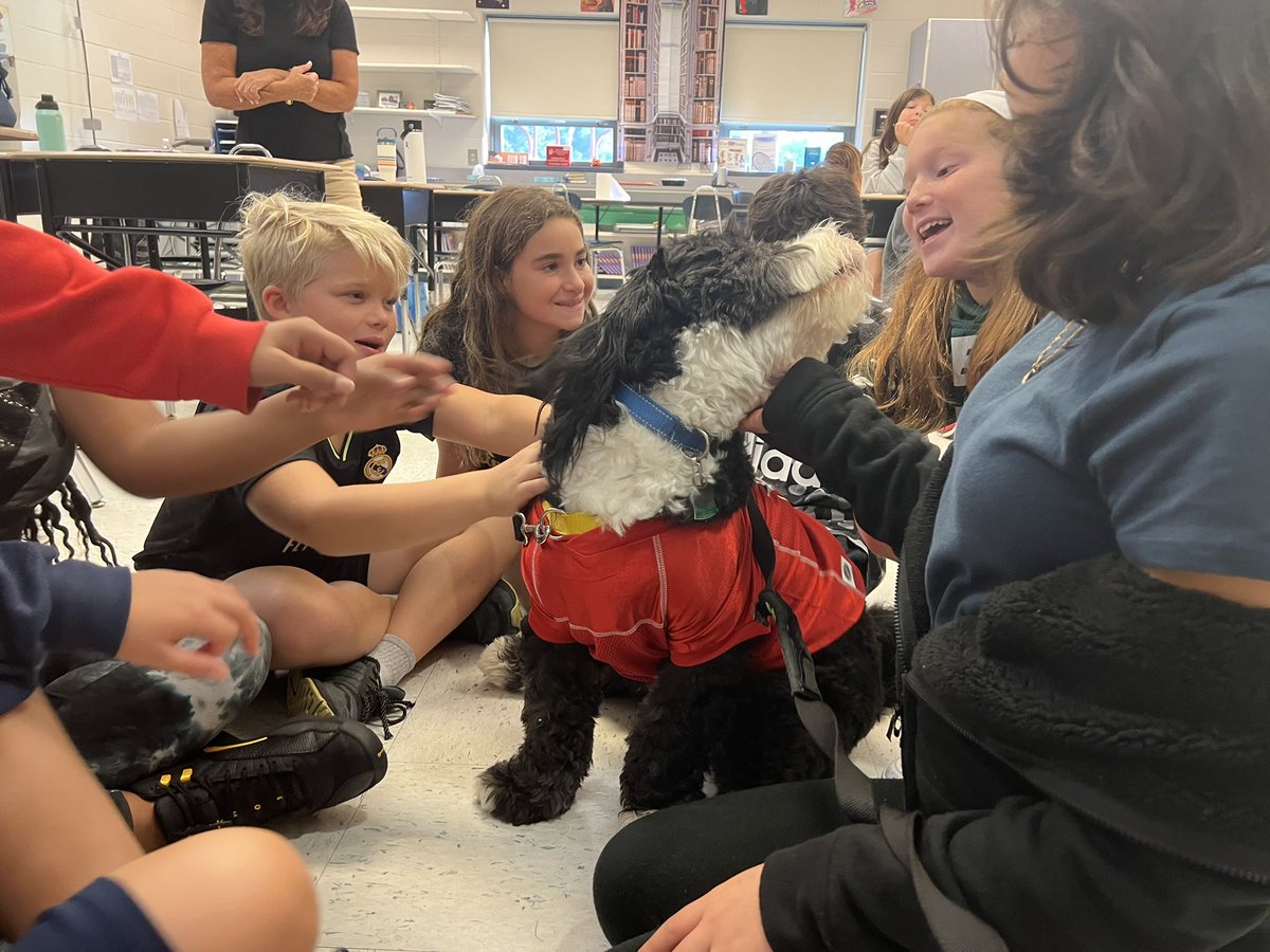 Archie THE Therapy Dog tweet media