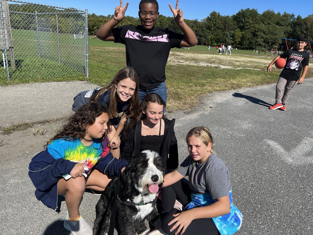 Archie THE Therapy Dog tweet media