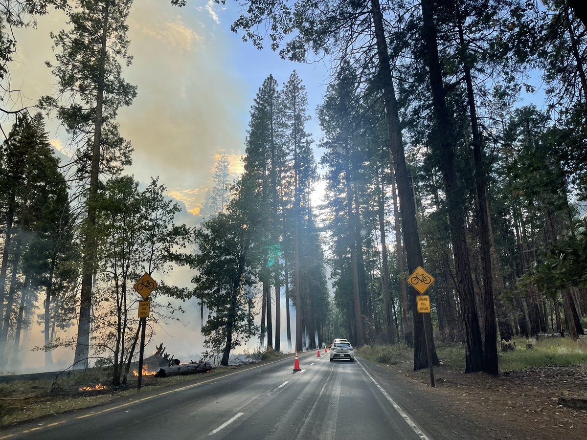igarousi's tweet photo. #prescribedfires in the Yosemite Valley to decrease the risk of severe #wildfires. https://t.co/aJOqhl8nvs