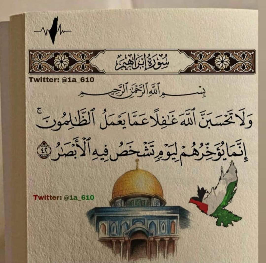 DrSuadAdam's tweet photo. https://t.co/933lnaP3mr