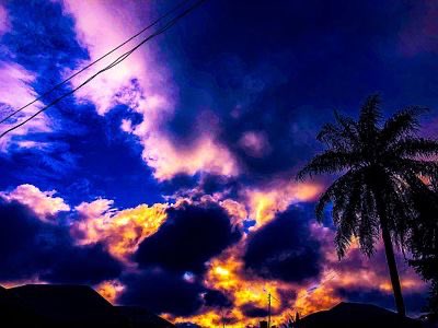 ItsNaastaaraan's tweet image. Here is my submission to the #CleverCurator #techbubble challenge.

 Nature Art

Artists
 @EddieLee21_ 
@johnny_olaleye 
@martinraskovsky 
@BohoArtRunway 

Labeling judges: 
@elhamteh_eth
 @ahchoen 
@manisaemi

Good luck everyone 🌸