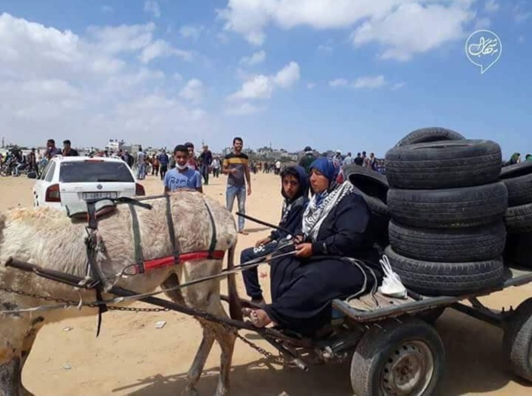 Tarih; resimdeki bu eşşeğin Filistin davasına islam ülkelerinin İtikatta müslüman, amelde müttefik yöneticilerinden daha fazla hizmet ettiğini yazacak...