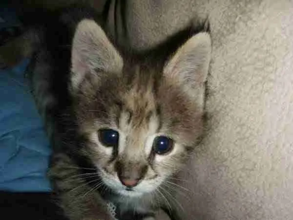 HumTinky's tweet image. 'no, mour. .e       t ouna,..