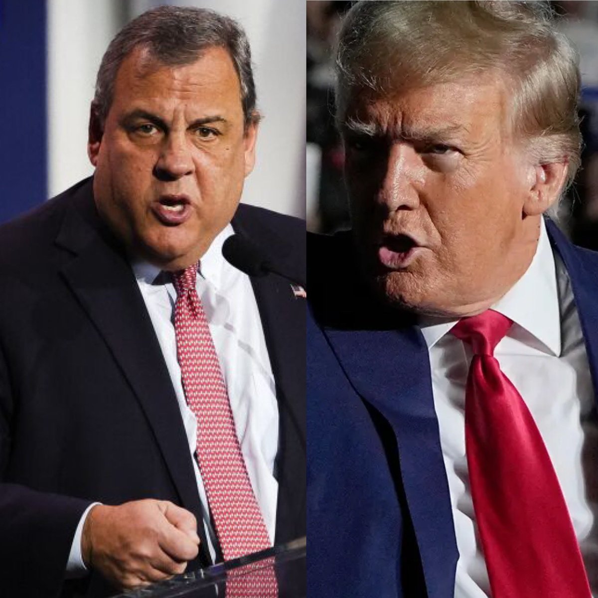 Occupy Democrats tweet media