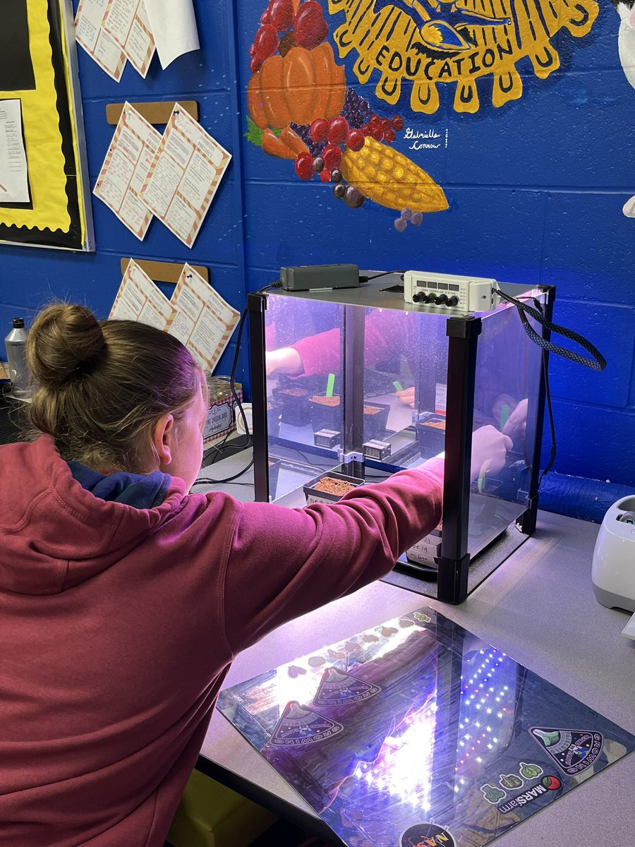 _norwayneffa's tweet photo. Our 6th period Planimal class finished planting our misome and pak choi plants today! Everything is comfy and cozy in our growth chamber and now we are just waiting for germination. @GrowBeyondEarth @getMARSfarm https://t.co/MluXTpLwxz