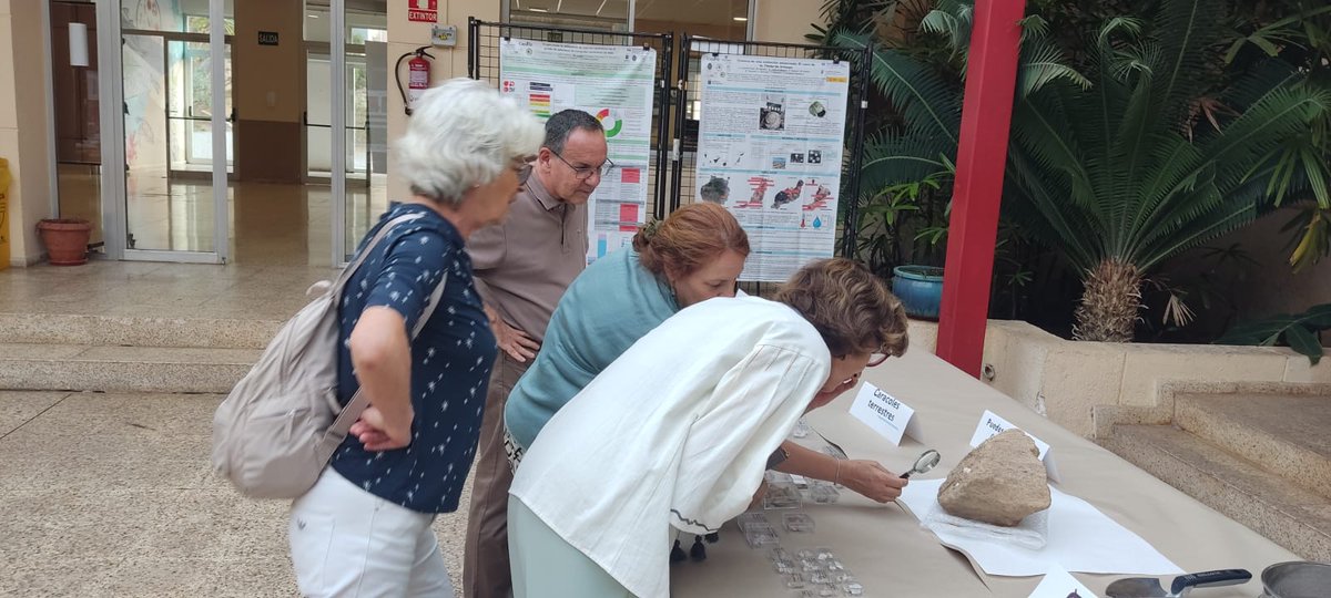 paleoconectate's tweet photo. @Sepaleontologia @cienciacanaria @CienciaULL @mujerconciencia @ULL @AsociacionJINTE @invest_ull @paleotertulias @DEMOLACanarias @canarias2030 @biodelega_ull @cobcan_info Estamos inaugurando la exposición con la decana de Ciencias!! https://t.co/Lx5GWG6XyM