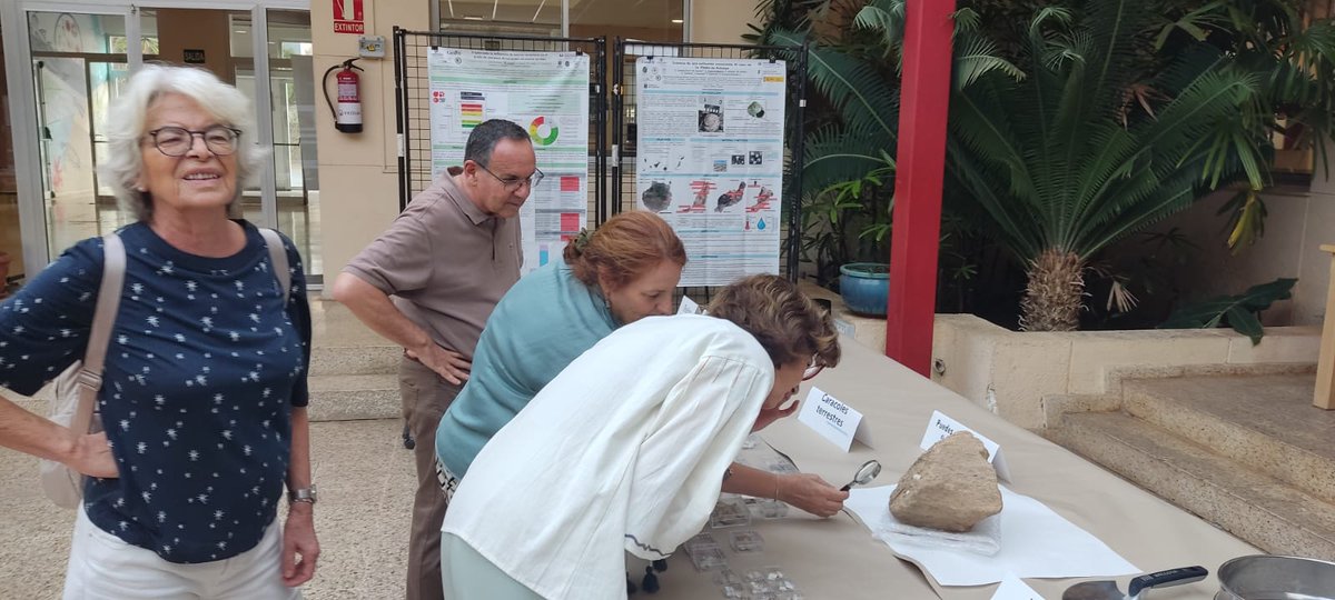 paleoconectate's tweet photo. @Sepaleontologia @cienciacanaria @CienciaULL @mujerconciencia @ULL @AsociacionJINTE @invest_ull @paleotertulias @DEMOLACanarias @canarias2030 @biodelega_ull @cobcan_info Estamos inaugurando la exposición con la decana de Ciencias!! https://t.co/Lx5GWG6XyM