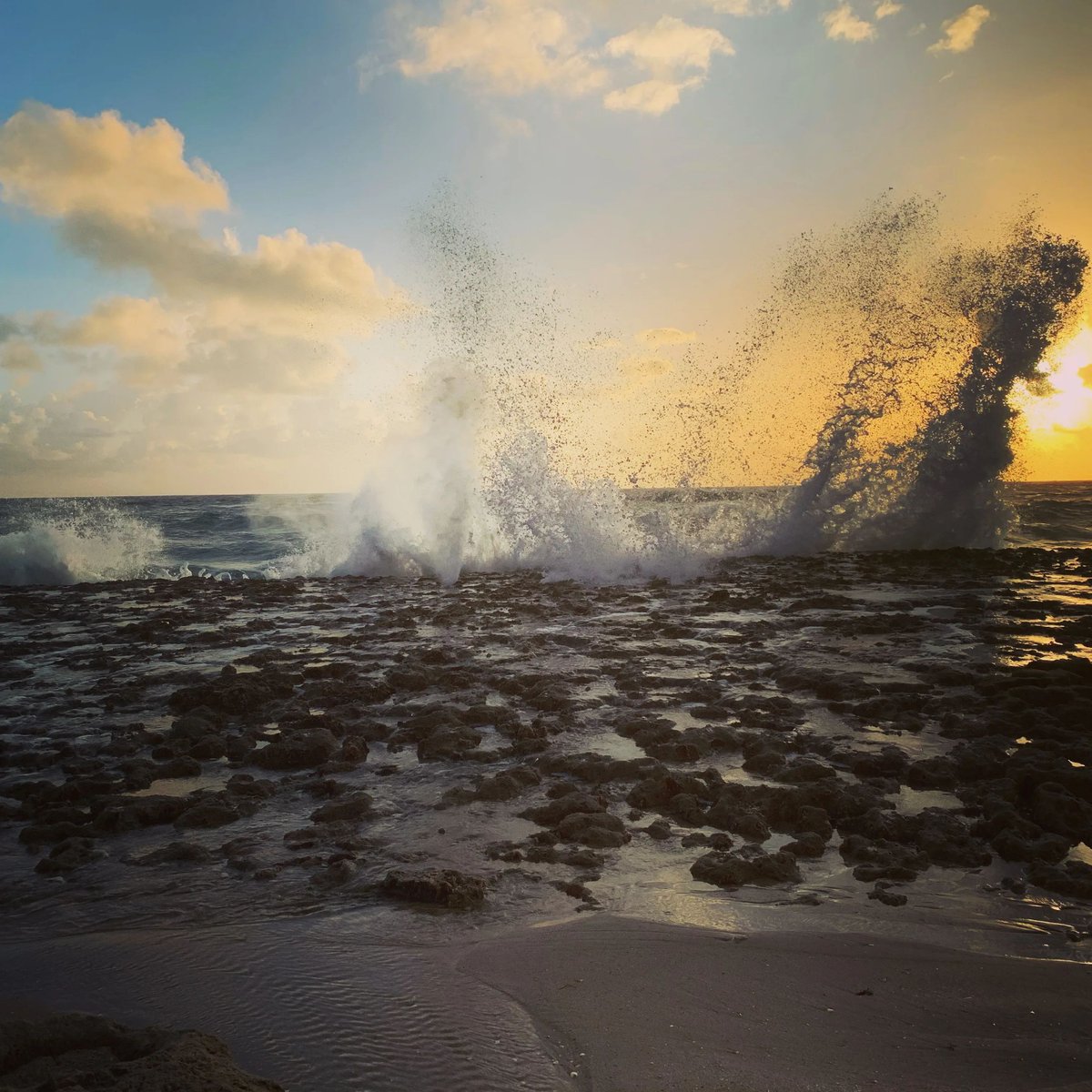 doyouneedahome's tweet image. Sunrises are better at Jupiter Beach! 🌅 Enjoying the breathtaking views and gentle waves. #JupiterBeach #FloridaSunrise #BeachLife #JupiterFL #NatureLovers
