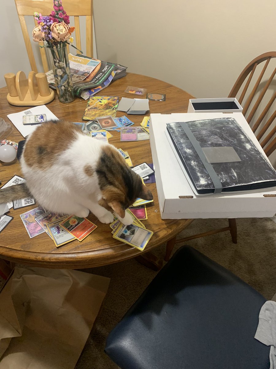 therealdashdude's tweet photo. i love my cat https://t.co/8SiQ7ULXli
