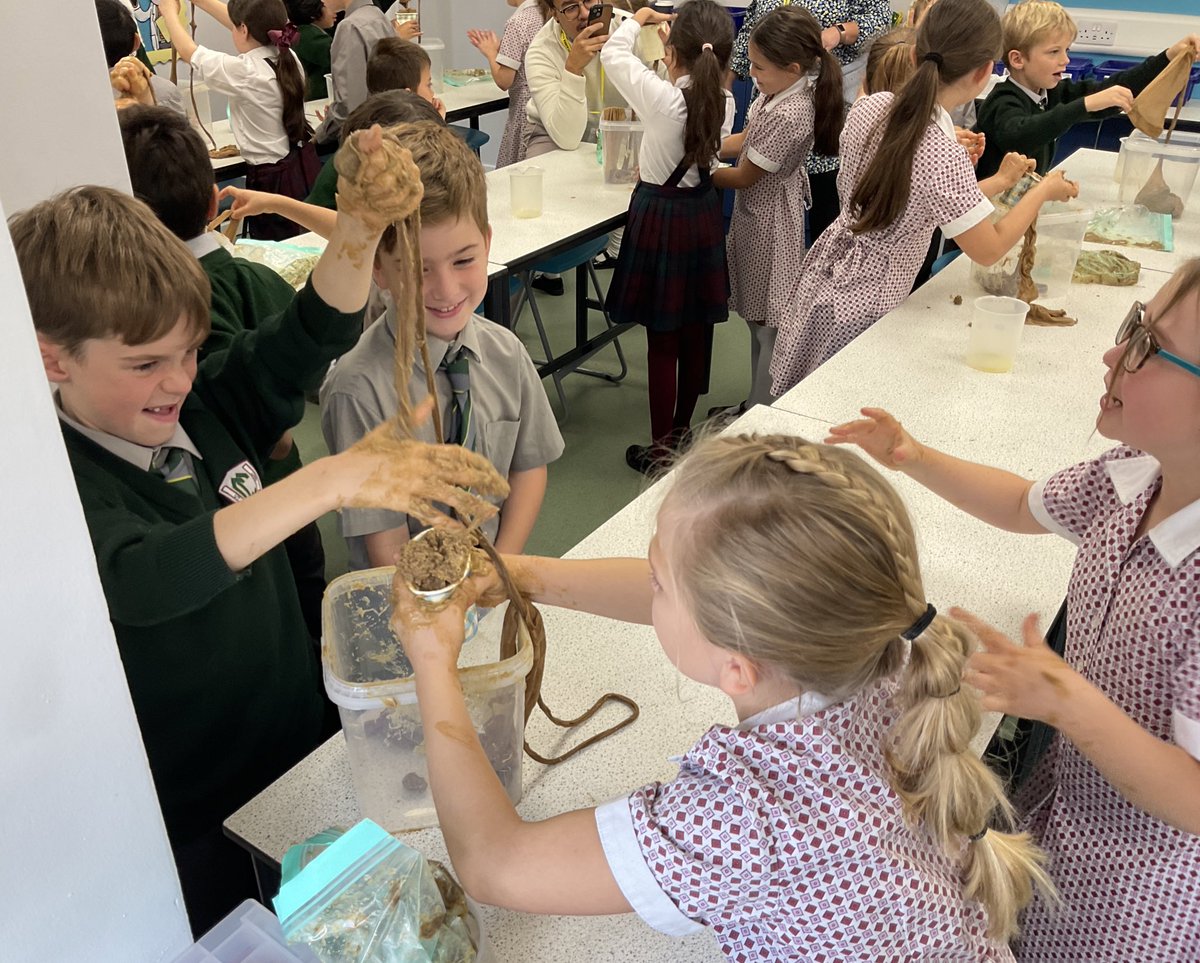 CCJuniorY4's tweet photo. Today #CCJYear4 took a practical journey through the digestive system. We’ll let the photos explain how it ‘went down’…
#CCScience #CCInvestigators #CCDiscovery https://t.co/T1Xuwo7Tci