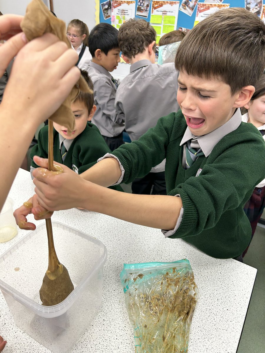 CCJuniorY4's tweet photo. Today #CCJYear4 took a practical journey through the digestive system. We’ll let the photos explain how it ‘went down’…
#CCScience #CCInvestigators #CCDiscovery https://t.co/T1Xuwo7Tci