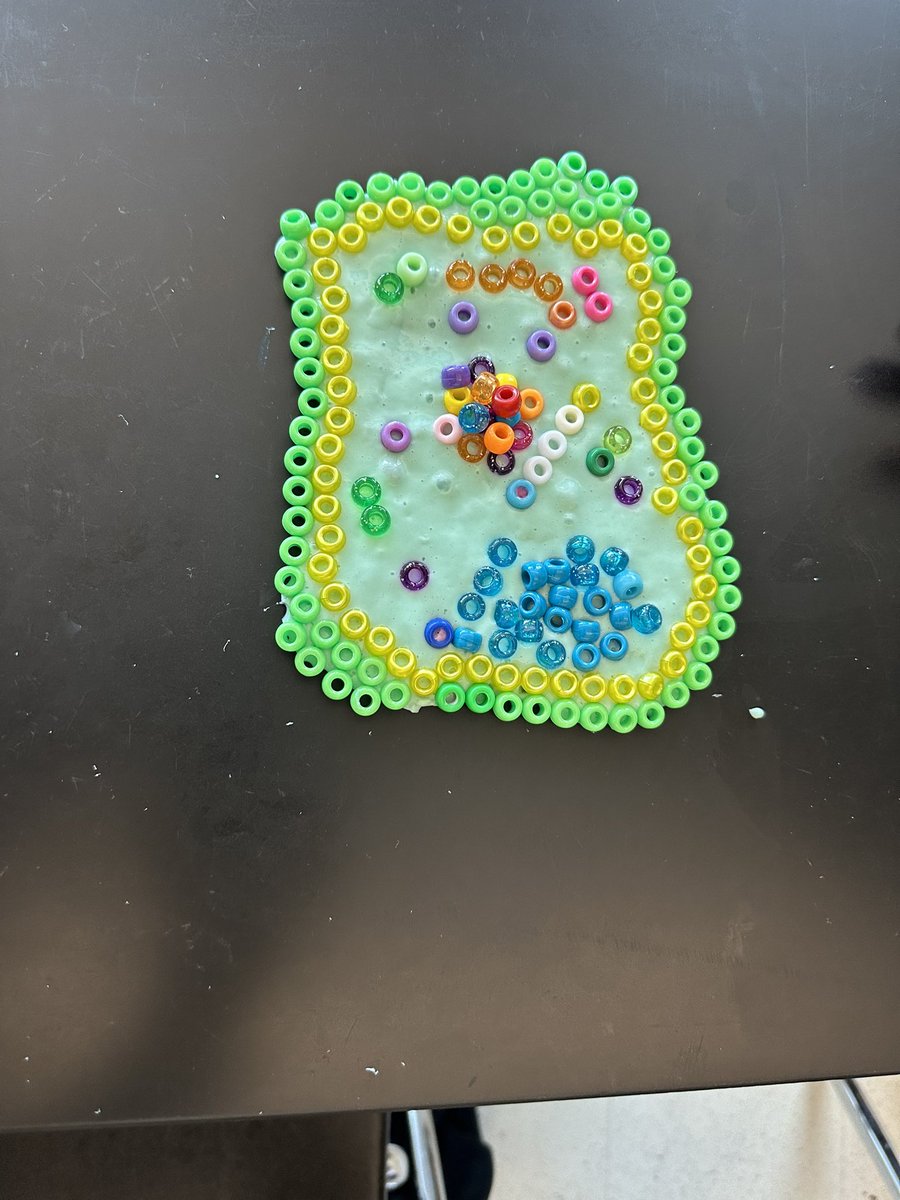 MsBoltTweets's tweet photo. Slime cells to review cell parts for our benchmark ! 🤪 https://t.co/sYCv9tIVR2