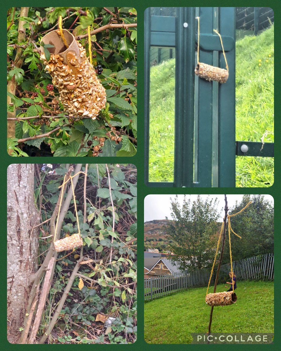 Dosbarth Rhuddem have made bird feeders today and placed them in secret places! Let's hope the birds are hungry! Thanks <a href="/bbccountryfile/">BBC Countryfile</a> for the idea  @CSCJES