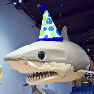SCStateMuseum's tweet photo. It's our 35th birthday and you're invited!
Join us Saturday November 4 for a special day filled with music, performances, tours, a new exhibition and lots more as we celebrate 35 years of Your South Carolina State Museum.
https://t.co/CKVy2juSj5
#SCSM35 https://t.co/FpwJaROMfC