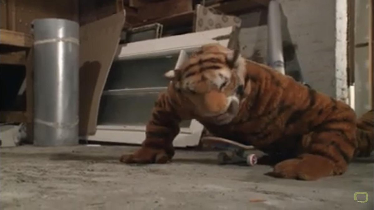 masterzulus's tweet photo. @Spenny Live look at Spencer’s new cat. King Maximus strikes again. All Hail Maximus https://t.co/ke2143Ye7D