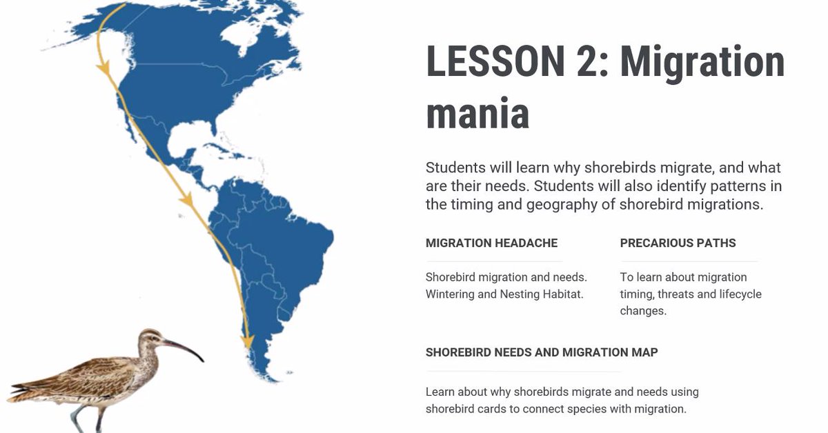 Sarah Gallah tweet media