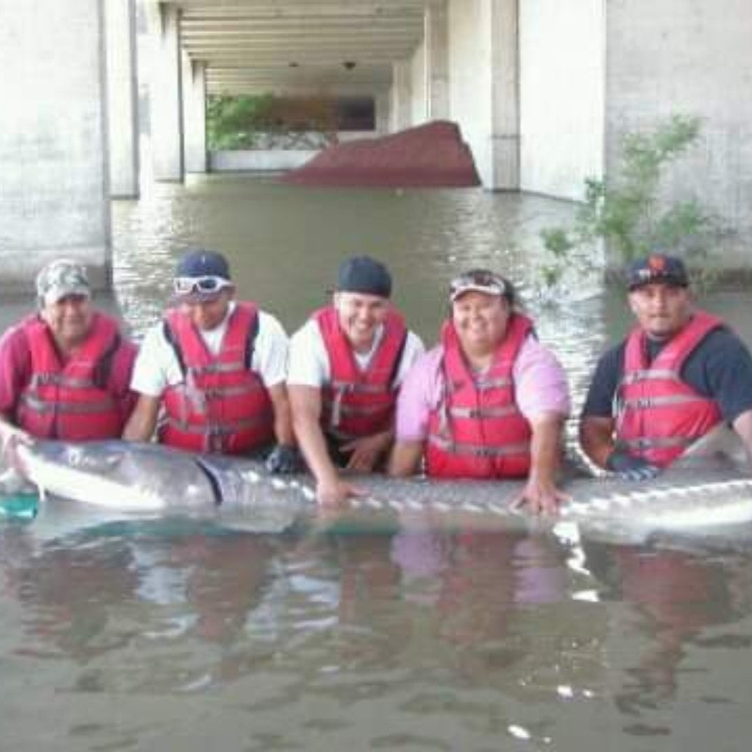 Mt. Adams Institute tweet media