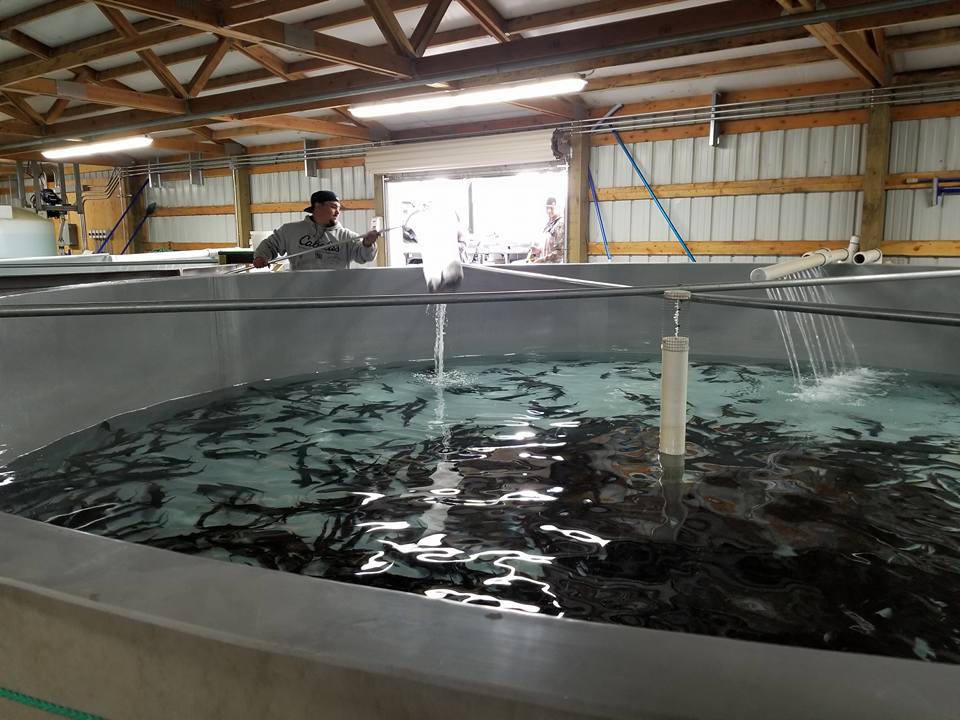 Mt. Adams Institute tweet media