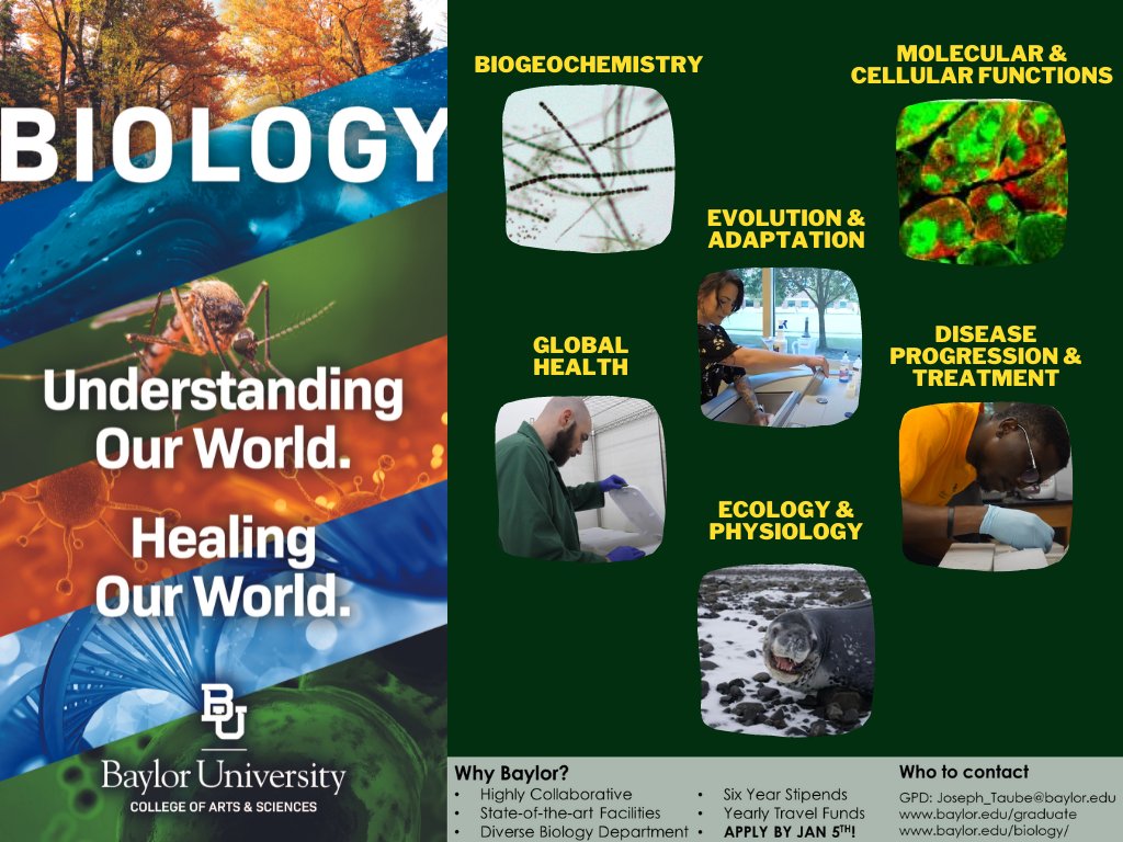 TaubeLab tweet media