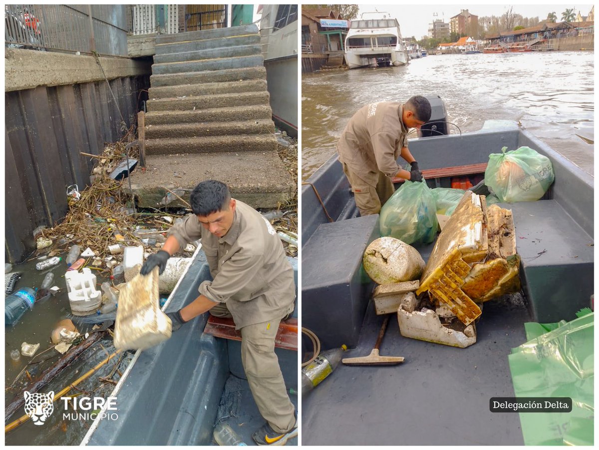 DeltadeTigre's tweet photo. 𝐓𝐎𝐌𝐄𝐌𝐎𝐒 𝐂𝐎𝐍𝐂𝐈𝐄𝐍𝐂𝐈𝐀
Con el objetivo de contribuir a la preservación del ambiente, continuamos realizando la Recolección Diaria de residuos sobrenadantes en Rio Tigre, así como también la limpieza de rampas y mangas de contención.
#TomemosConciencia🚯 https://t.co/YhryxPZMvz