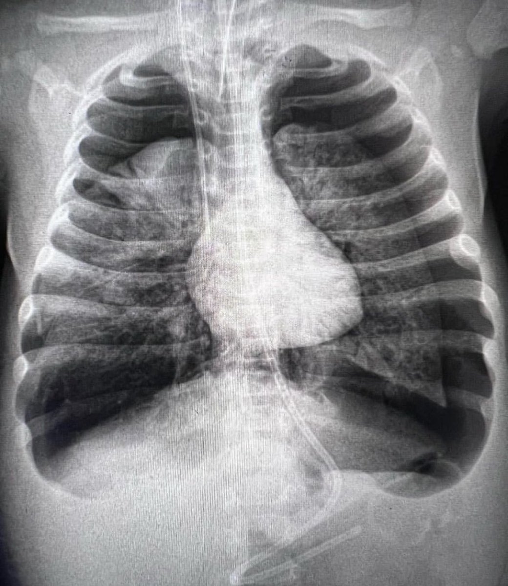 Tell me everything you see!