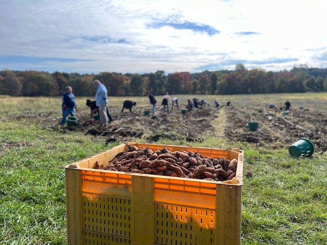 The Food Project tweet media