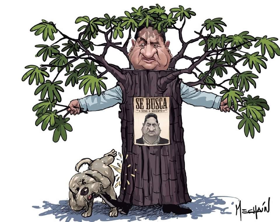 RudyRiveraB's tweet photo. SE BUSCA 
#ElOtorongo #Mechain https://t.co/RqiwUgMMoN