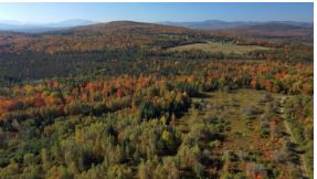 With facilitating support from The Conservation Fund, NH Fish &amp; Game purchased 820 acres in Dummer yesterday. Now known as the Glover Farm Wildlife Management Area it was acquired to protect its outstanding wildlife, water and upland resources for public recreation. #conservation