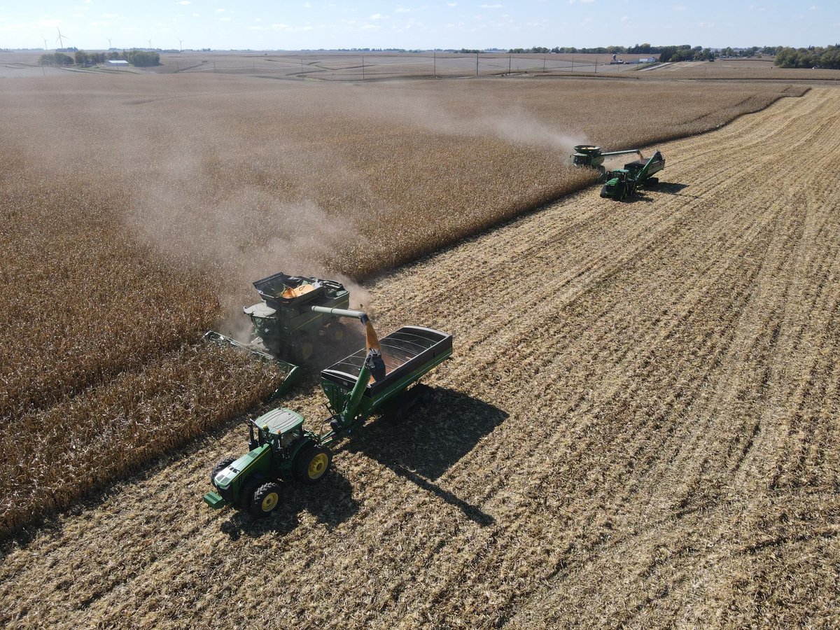 DKAS_SWIA's tweet image. Here is a field of Preceon Short corn being harvested right next to a field of tall corn in central Iowa.