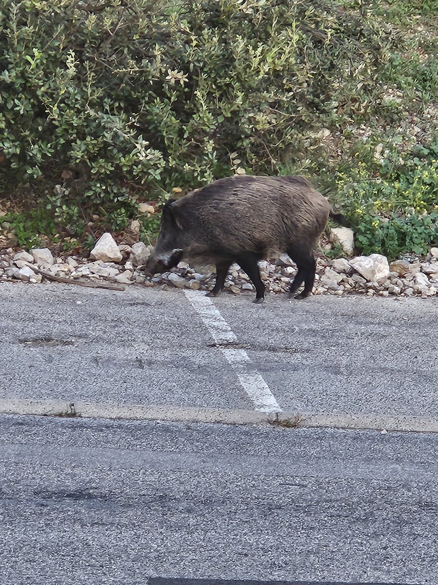 Claire Adams tweet media