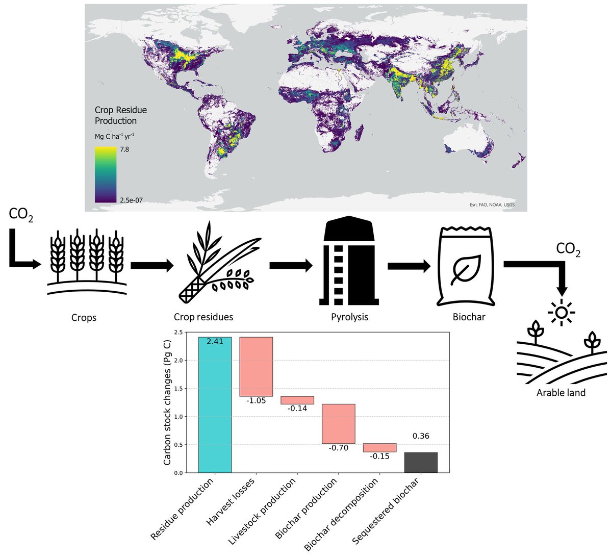 || NEW RESEARCH ||
Potential for biochar carbon sequestration from crop residues: A global spatially explicit assessment

📄 bit.ly/46wWwLj