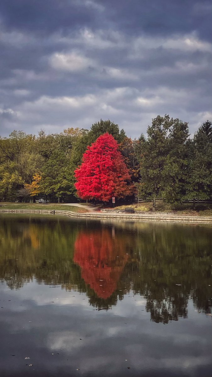 We are seeing a pop of color in Kettering! Parks Crew Leader Jason Sullivan caught this beautiful scenery at Lincoln Park just in time! Make sure to visit our parks in the next week or two to enjoy the fall leaf peak for yourself! 🍁